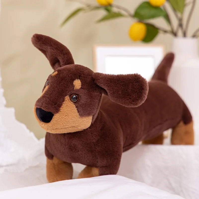 Peluche Teckel Poil Dur - vue 8