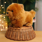 Peluche Chow Chow Mignon - vue 2