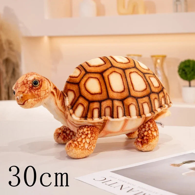 Peluche Tortue Terrestre Réaliste - vue 9