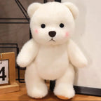 Ours en Peluche Petit - vue 2