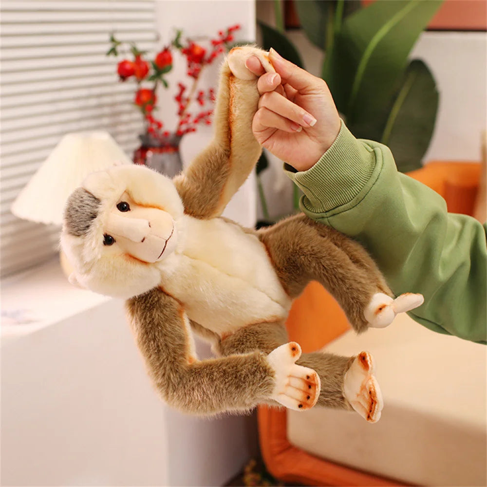 Peluche Baboin - vue 2