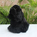 Peluche Cavalier King Charles Noir - vue 5