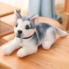 Peluche Husky Pas Cher - vue 4