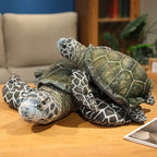 Peluche Tortue de Mer - vue 4