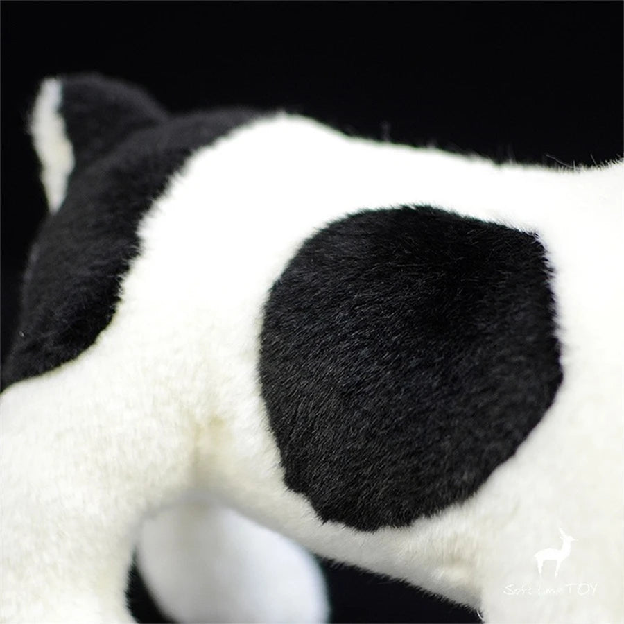 Bulldog Anglais Peluche - vue 3