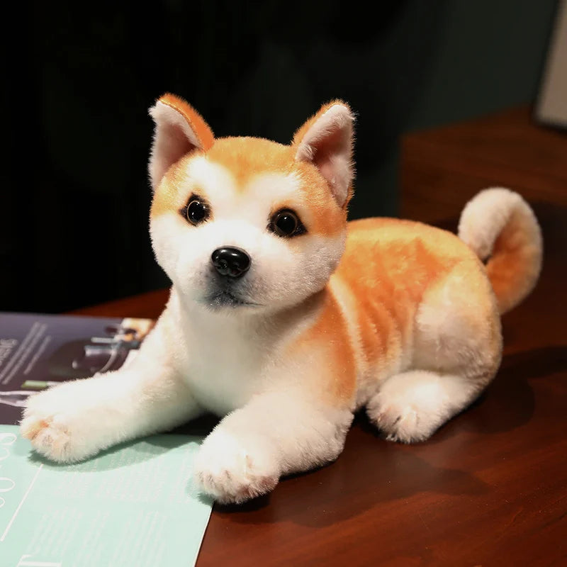 Peluche Shiba Kawaii - vue 7