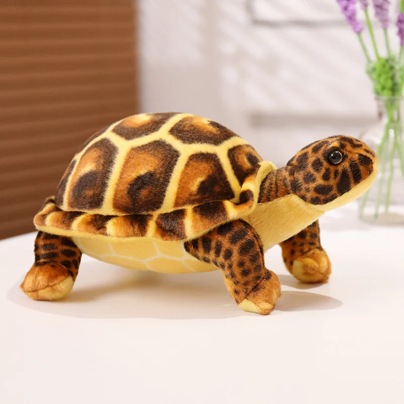 Peluche Tortue Terrestre - Marron - vue 3