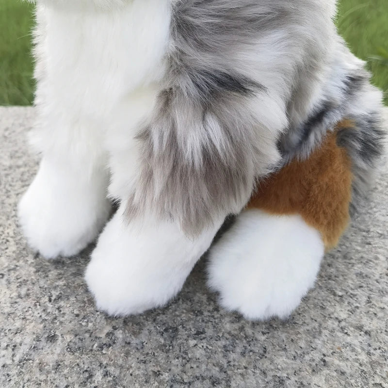 Peluche Berger Australien - vue 4