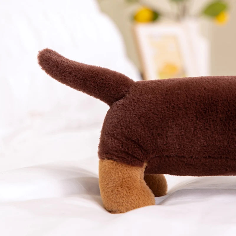 Peluche Teckel Poil Dur - vue 3