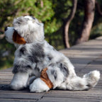 Peluche Berger Australien Tricolore - vue 4