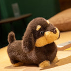 Peluche Teckel Nain - vue 9