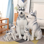 Grande Peluche Chien Husky - vue 3