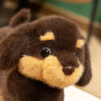 Peluche Teckel Nain - vue 6