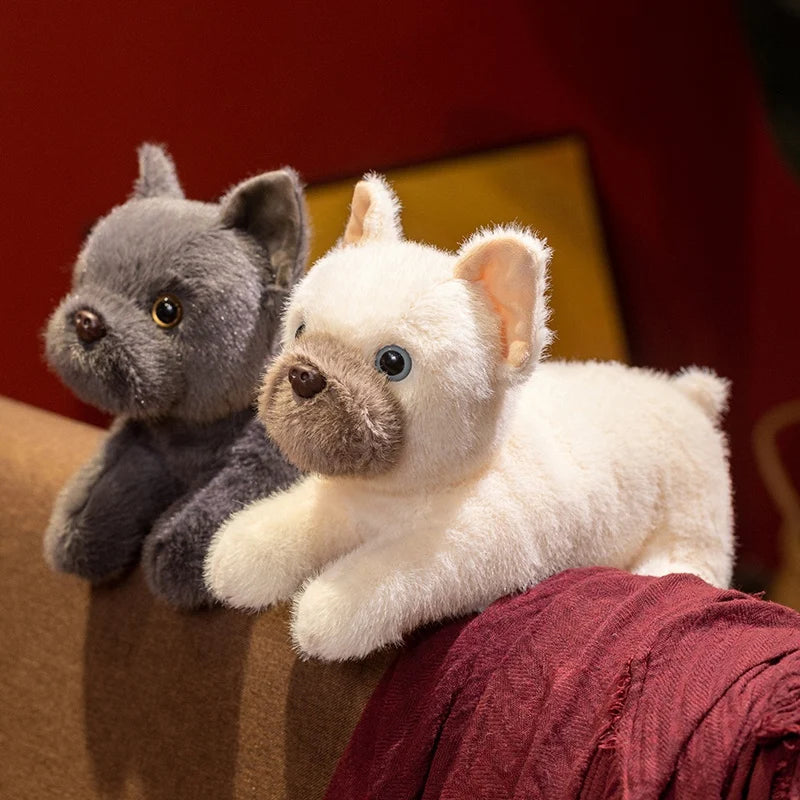 Doudou Bulldog - vue 7