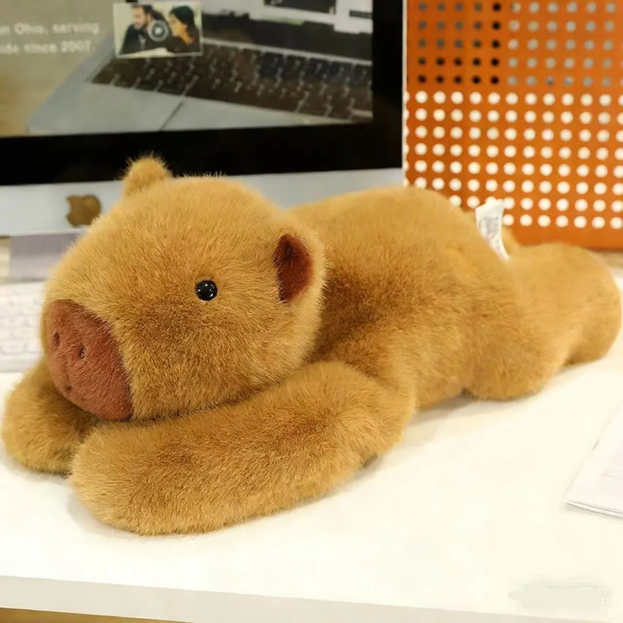 Capybara Lestée en Peluche - vue 3