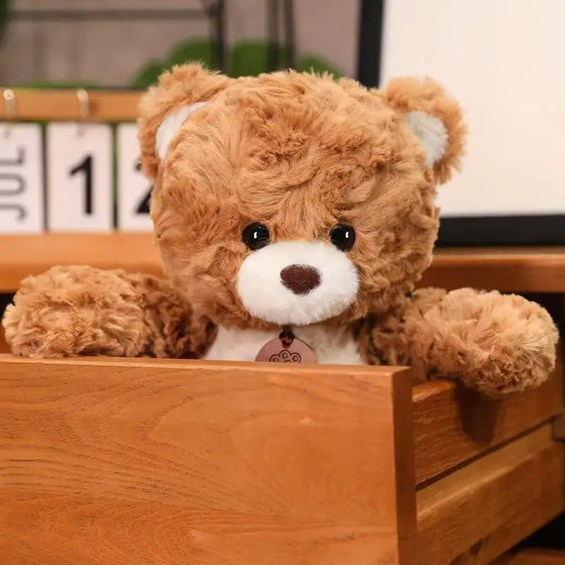 Ours en Peluche 50 Cm - vue 3