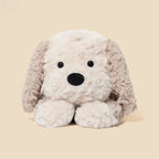 Peluche Chien Bichon Maltais - vue 2