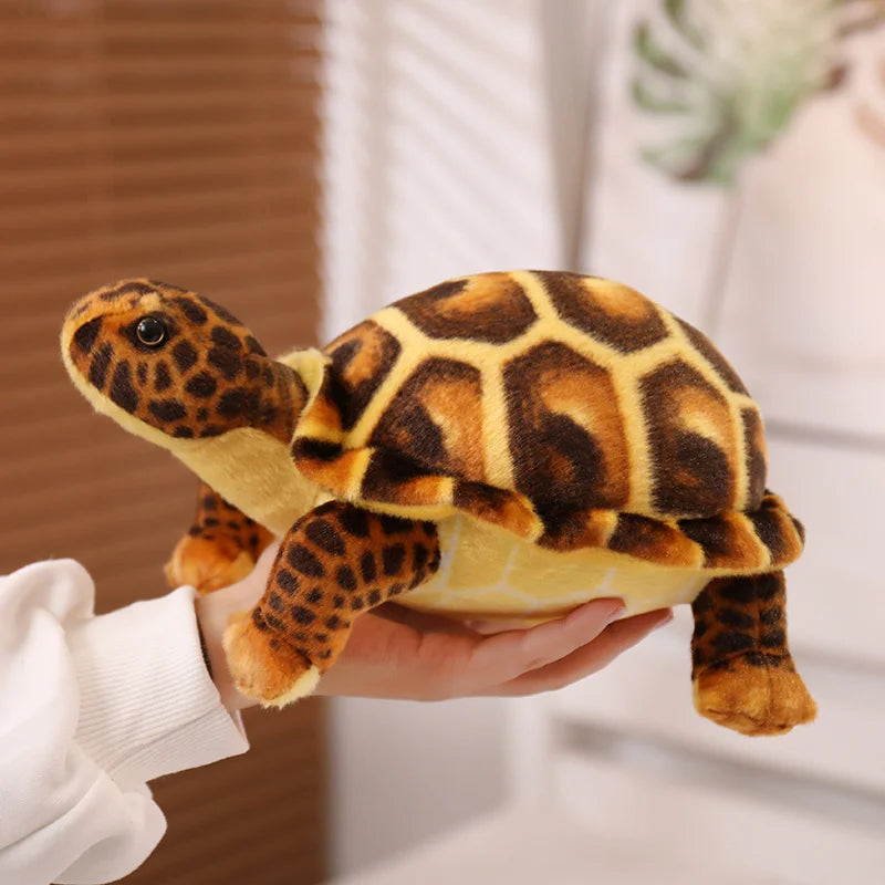 Peluche Tortue Terrestre - Marron - vue 2