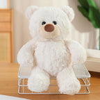 Ours en Peluche Pas Cher - vue 3