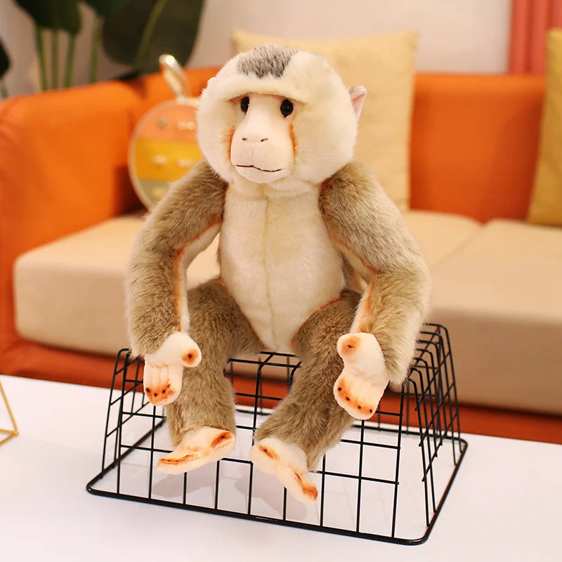 Peluche Baboin - vue 5