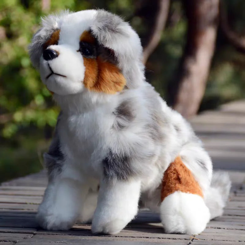 Peluche Berger Australien Tricolore - vue 3