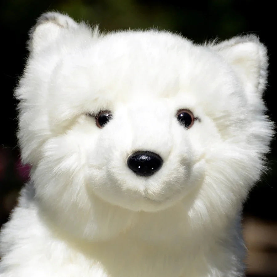 Peluche Renard Arctique - vue 4