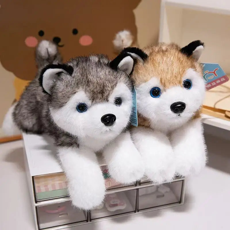 Peluche Husky Couché - vue 4