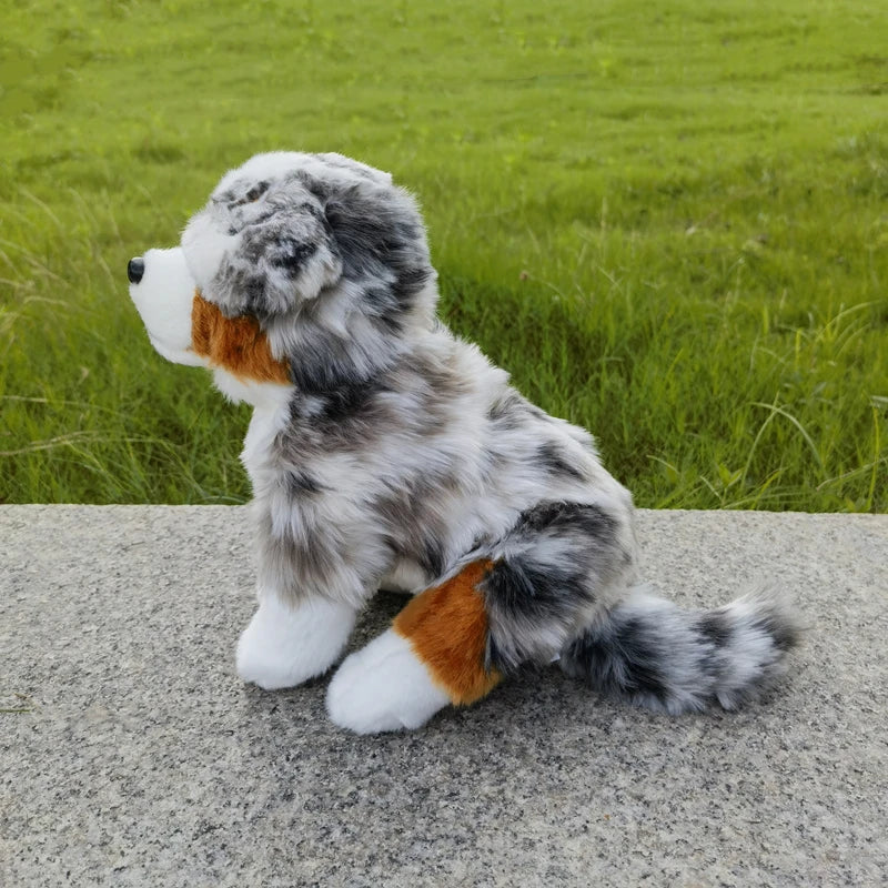 Peluche Berger Australien - vue 6
