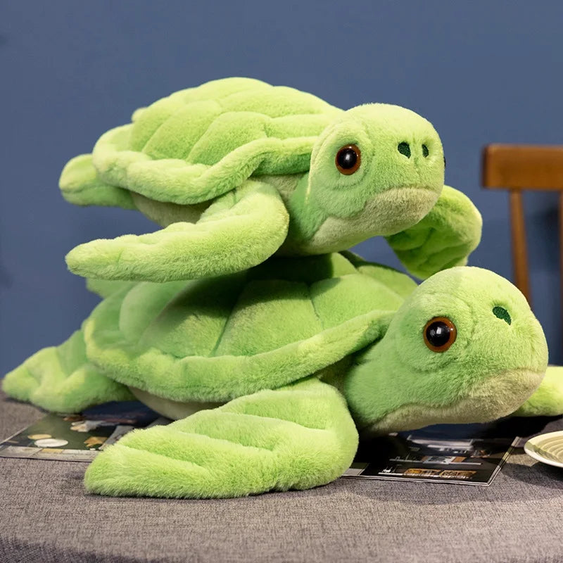Coussin Tortue - vue 2
