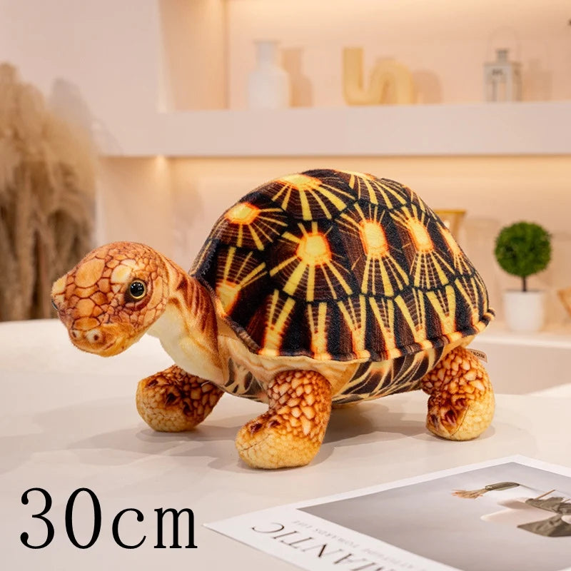 Peluche Tortue Terrestre Réaliste - vue 6