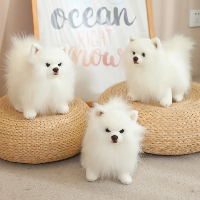 Peluche Loulou de Poméranie - vue 4
