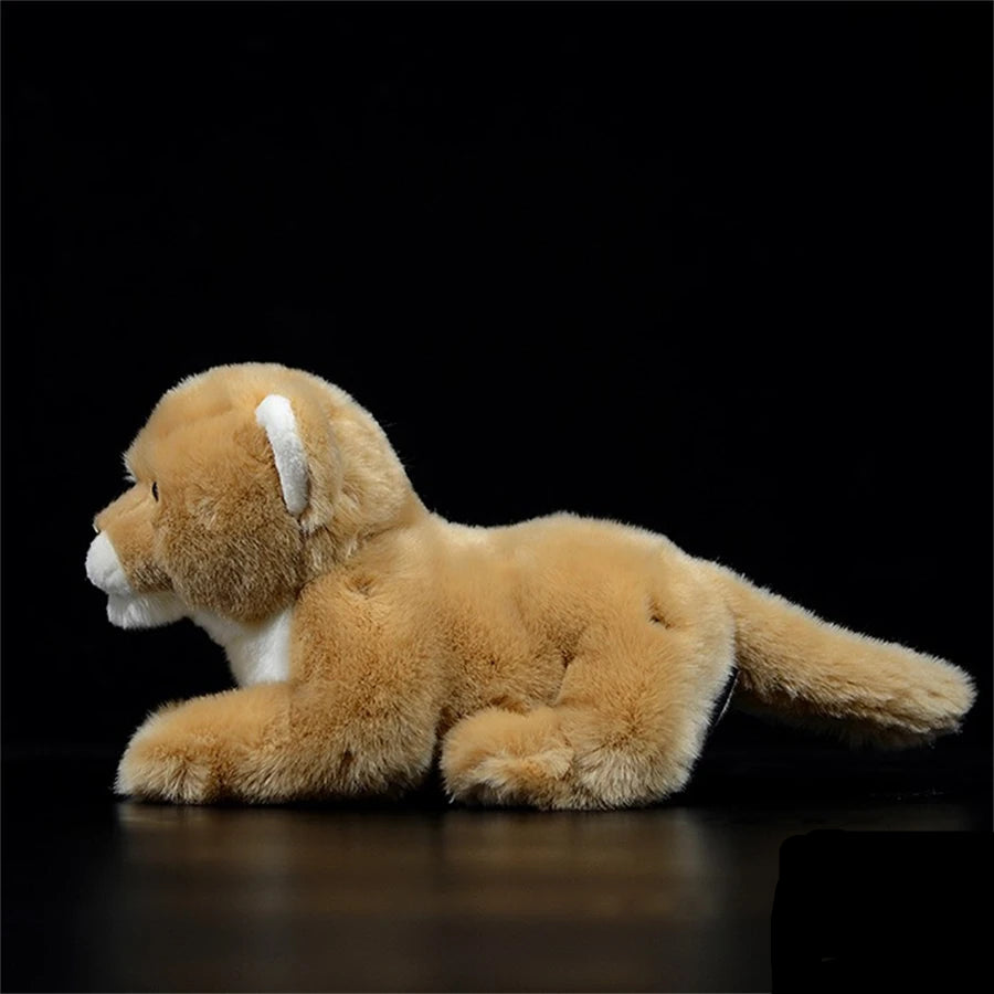Petite Lionne Peluche - vue 3