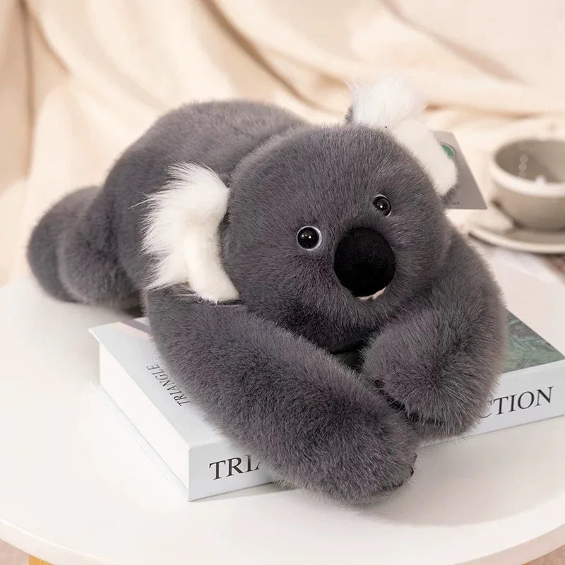 Peluche Lestée Koala - vue 2