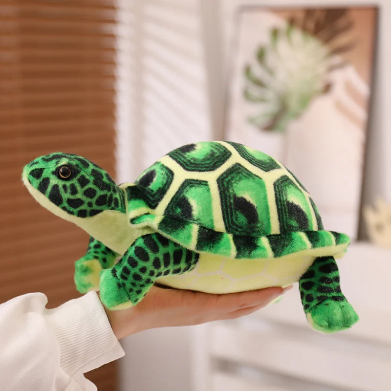 Peluche Tortue de Terre - Verte - vue 4