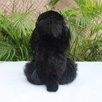 Peluche Cavalier King Charles Noir - vue 6