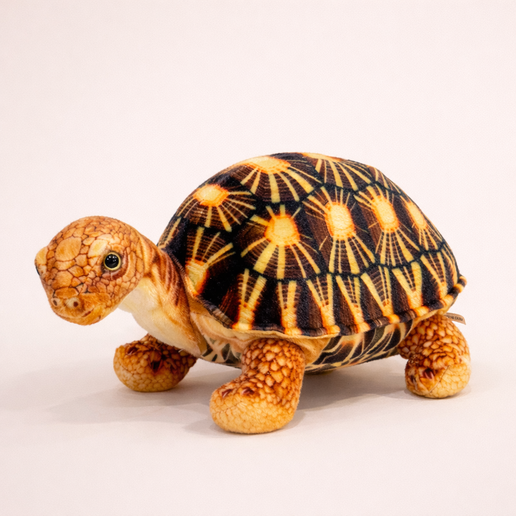 Peluche Tortue Terrestre Réaliste