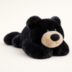Ours en Peluche Noir