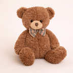 Ours en Peluche Vintage