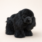 Peluche Cavalier King Charles Noir