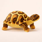 Peluche Tortue Terrestre - Marron