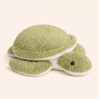 Peluche Tortue Verte